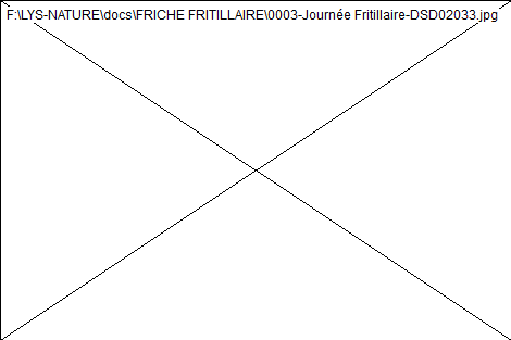 wp278e7e06.png