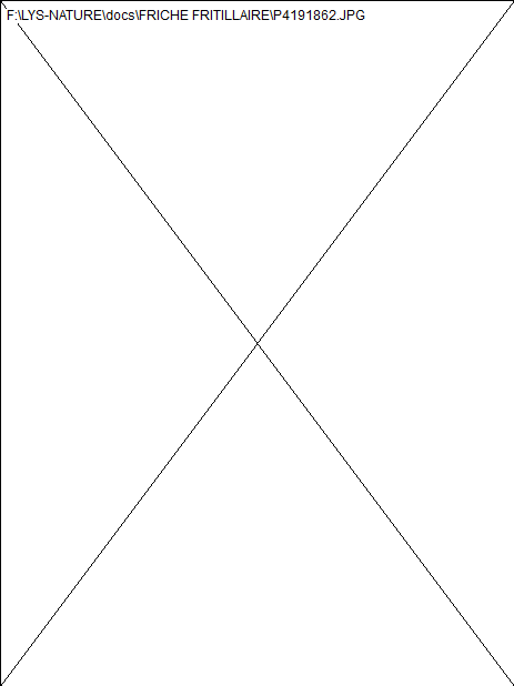 wp2de6a919.png