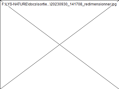 wp3339b08a.png