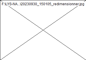 wp68c3c39d.png