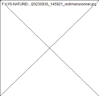 wp76e7bf2e.png