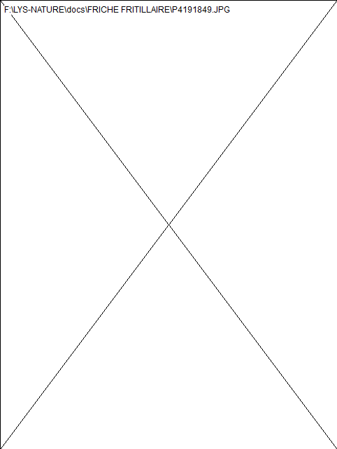 wp8323da72.png