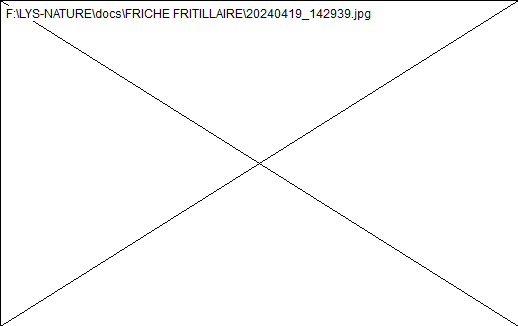 wp85d652c2.png