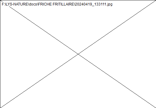 wp8da4827e.png