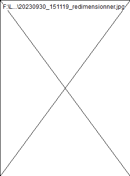 wpb1d177a3.png