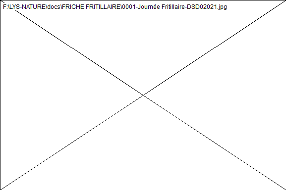 wpb1d61cc4.png